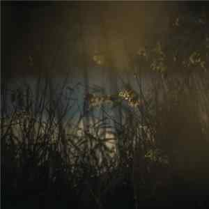 Ownsi Lense - Campaign In Anywhere FLAC album
