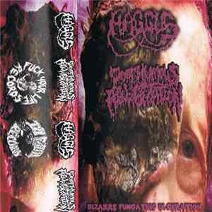 Haggus / Posthumous Regurgitation - Bizzare Fungating Ulceration FLAC album