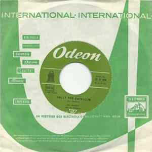 Ron Goodwin And His Orchestra - Sally The Satellite FLAC album