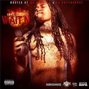 Chaz Gotti - Wait'n FLAC album