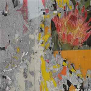 Cosmic Shenggy - Untitled FLAC album