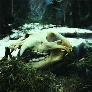 Arkheron Thodol - Thaw FLAC album