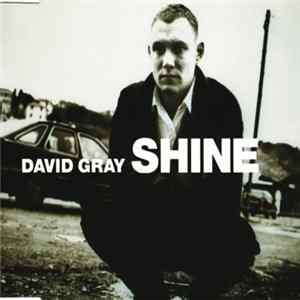 David Gray - Shine FLAC album