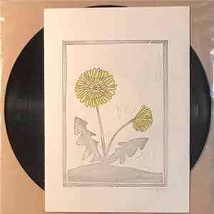 Niedowierzanie - Felicita FLAC album