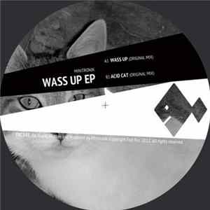 Minitronik - Wass Up EP FLAC album