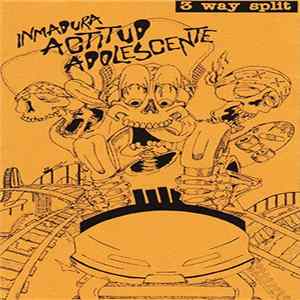 Ninjas Mutantes Adolescentes, Inmadura Respuesta Actual, Jodida Actitud Normal - Inmadura Actitud Adolescente FLAC album