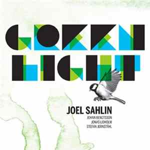 Joel Sahlin - Green Light FLAC album