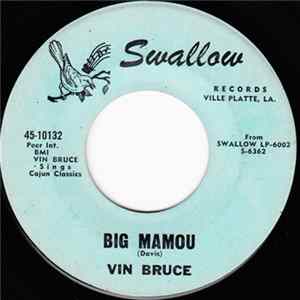 Vin Bruce - Big Mamou / Big Texas FLAC album