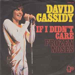 David Cassidy - If I Didn't Care FLAC album
