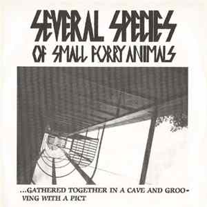 Several Species Of Small Furry Animals - ...Gathered Together In A Cave And Grooving With A Pict FLAC album
