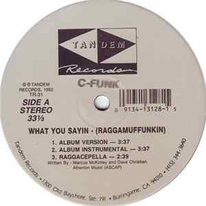 C-Funk - What You Sayin (Raggamuffunkin) FLAC album