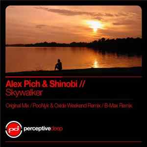 Alex Pich & Shinobi - Skywalker FLAC album