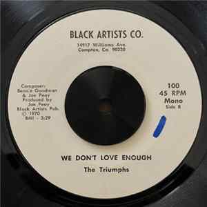 The Triumphs - Don't Let The Enemy Ride FLAC album