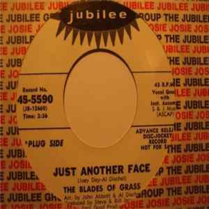 The Blades Of Grass - Just Another Face FLAC album