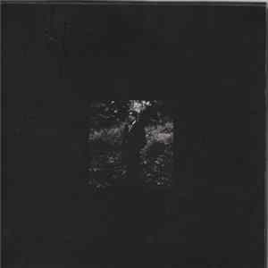Alain Bashung - L'Imprudence FLAC album
