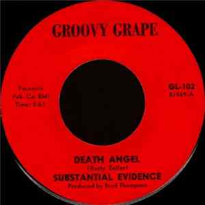 Substantial Evidence - Death Angel FLAC album