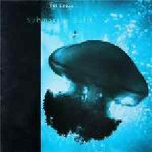 Chills, The - Submarine Bells FLAC album