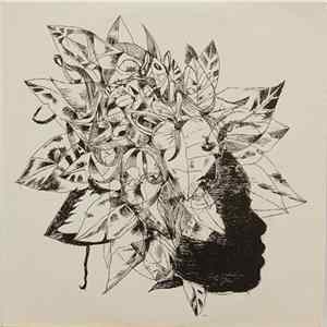 Mélissa Laveaux - Camphor And Copper FLAC album