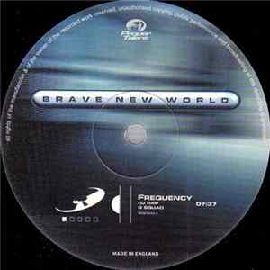 DJ Rap & G Squad / DJ SS - Frequency / Static FLAC album