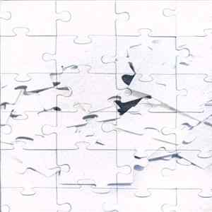 Not Scientists - Destroy To Rebuild FLAC album