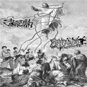 Spoonful of Vicodin / Chainsaw to the Face - Split FLAC album