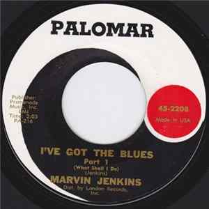 Marvin Jenkins - I've Got The Blues (What Shall I Do) FLAC album
