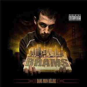 Mr Brams - Dans Mon Delire FLAC album