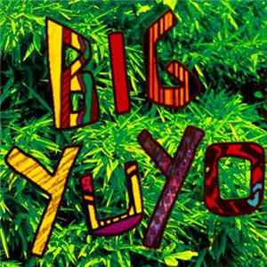 Los Pericos - Big Yuyo FLAC album