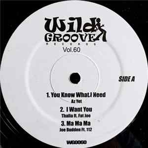 Various - Wild Groove Records Vol. 60 FLAC album
