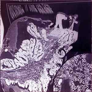 Line Leader - Somniac / Line Leader Split FLAC album