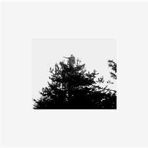 Semănat - Argilă FLAC album