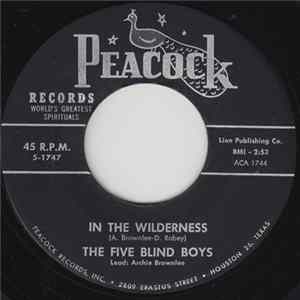 The Five Blind Boys - In The Wilderness FLAC album