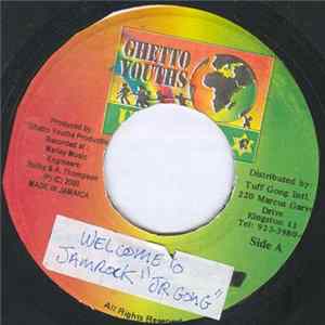 Damian "Jr. Gong" Marley - Welcome To Jamrock FLAC album