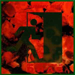 Dummy Run - The New Sound Of Drab FLAC album