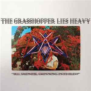 The Grasshopper Lies Heavy - All Sadness, Grinning Into Flow FLAC album