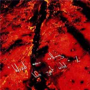 L - "Words Mean Nothing Lifes Just Wild" FLAC album