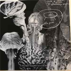 Drahomira Song Orchestra - Secret Radio Station FLAC album