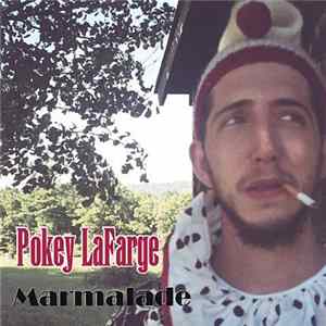 Pokey LaFarge - Marmalade FLAC album