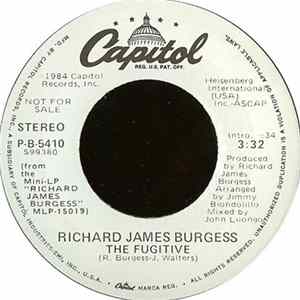 Richard James Burgess - The Fugitive FLAC album