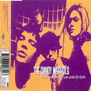 The Dandy Warhols - Not If You Were The Last Junkie On Earth FLAC album