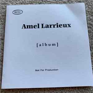 Amel Larrieux - Infinite Possibilities FLAC album