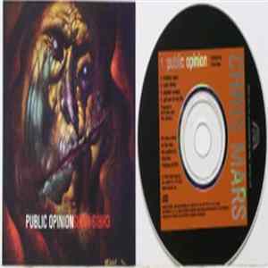 Chris Mars - Public Opinion FLAC album