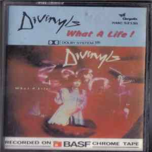 Divinyls - What A Life! FLAC album