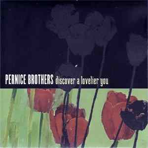 Pernice Brothers - Discover A Lovelier You FLAC album