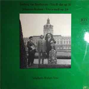 Schubert-Weber-Trio - Trio B-Dur Op. 11 / Trio A-Moll Op. 114 FLAC album