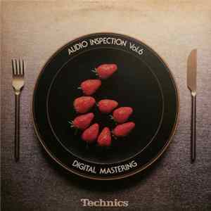 Various - Technics Audio Inspection Vol. 6 FLAC album