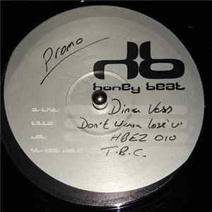 Dina Vass - Don't Wanna Lose You FLAC album