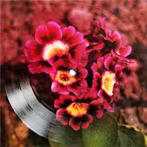 El Passadore / Plastic Bertrand - Amado Mio, Amore Mio / Bambino FLAC album