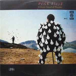 Pink Floyd - Delicate Sound Of Thunder. № 1 FLAC album