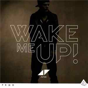 Avicii - Wake Me Up FLAC album